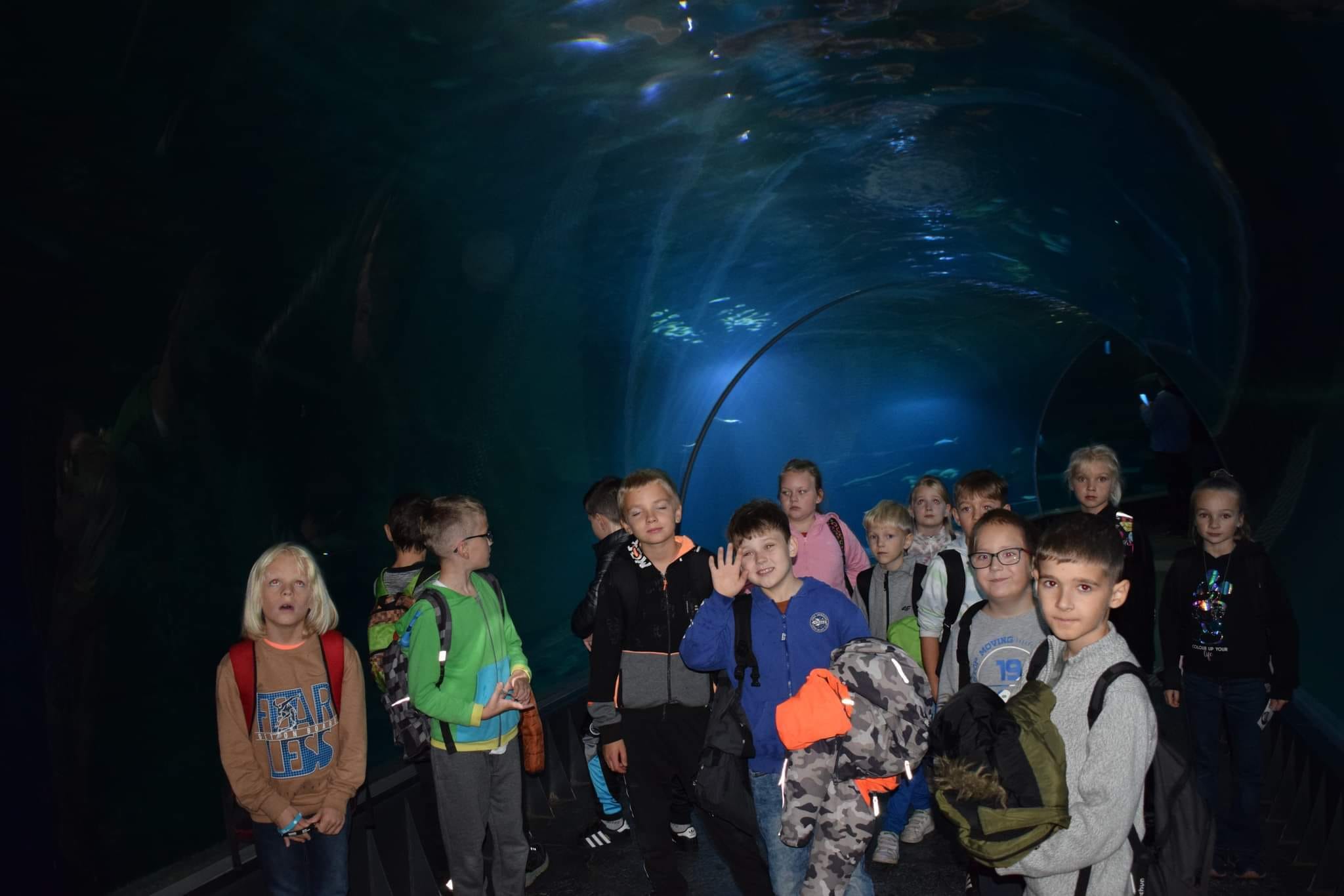uczniowie oglądają żyrafę na wybiegu w Zoo we wrocławiu