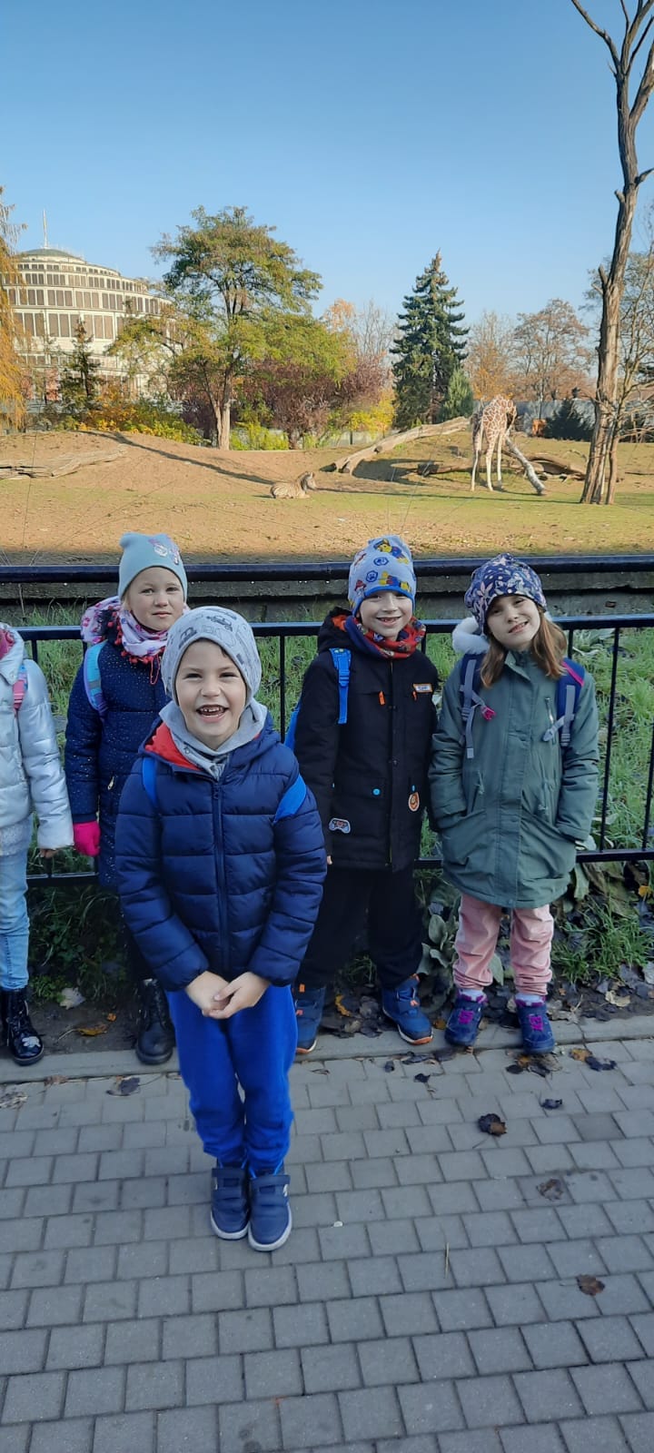 uczniowie oglądają żyrafę na wybiegu w Zoo we wrocławiu